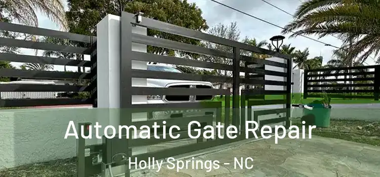 Automatic Gate Repair Holly Springs - NC
