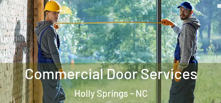 Commercial Door Services Holly Springs - NC