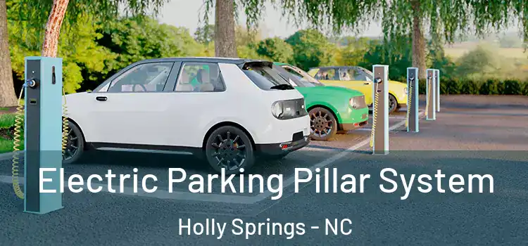 Electric Parking Pillar System Holly Springs - NC