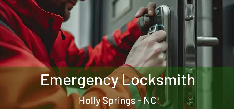 Emergency Locksmith Holly Springs - NC