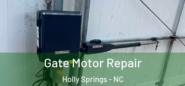 Gate Motor Repair Holly Springs - NC