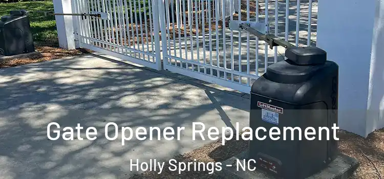 Gate Opener Replacement Holly Springs - NC