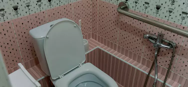 Meeting Diverse Needs With Accessible Restroom Solutions in Holly Springs, NC