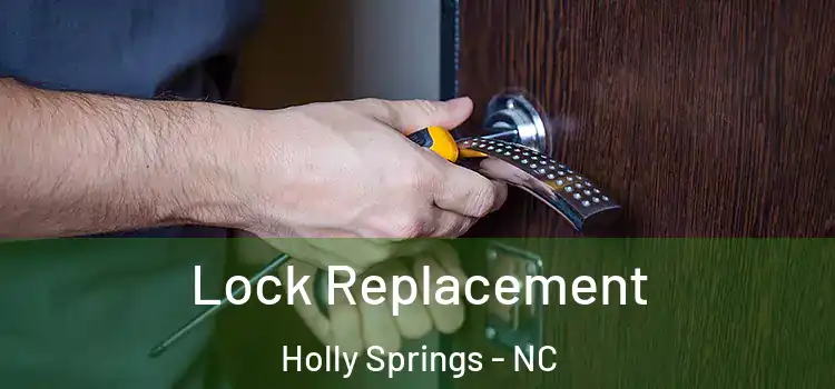 Lock Replacement Holly Springs - NC