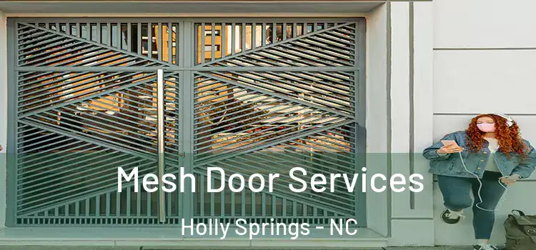 Mesh Door Services Holly Springs - NC