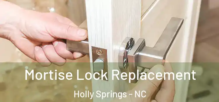 Mortise Lock Replacement Holly Springs - NC