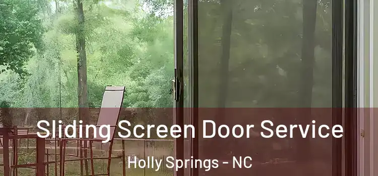 Sliding Screen Door Service Holly Springs - NC